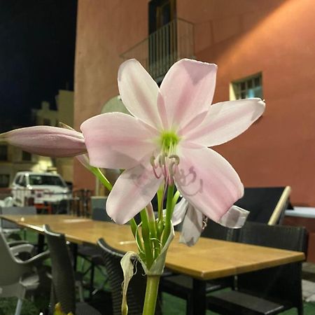 Restaurant & Rooms Cabrit Сан Матеу Екстериор снимка